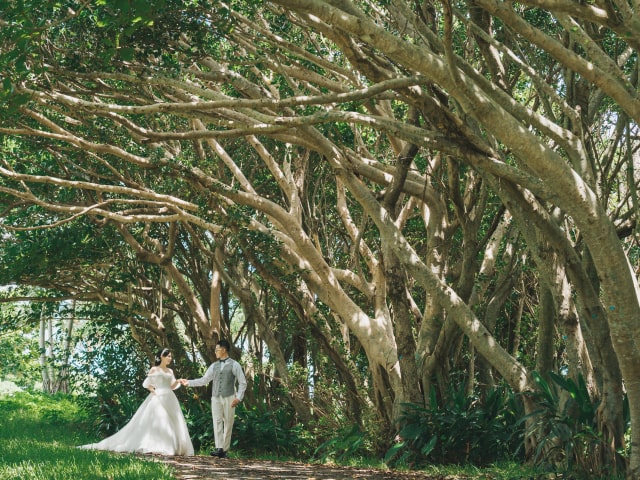 平和創造の森公園